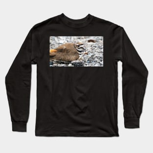 Killdeer Bird Guarding Her Nest Long Sleeve T-Shirt